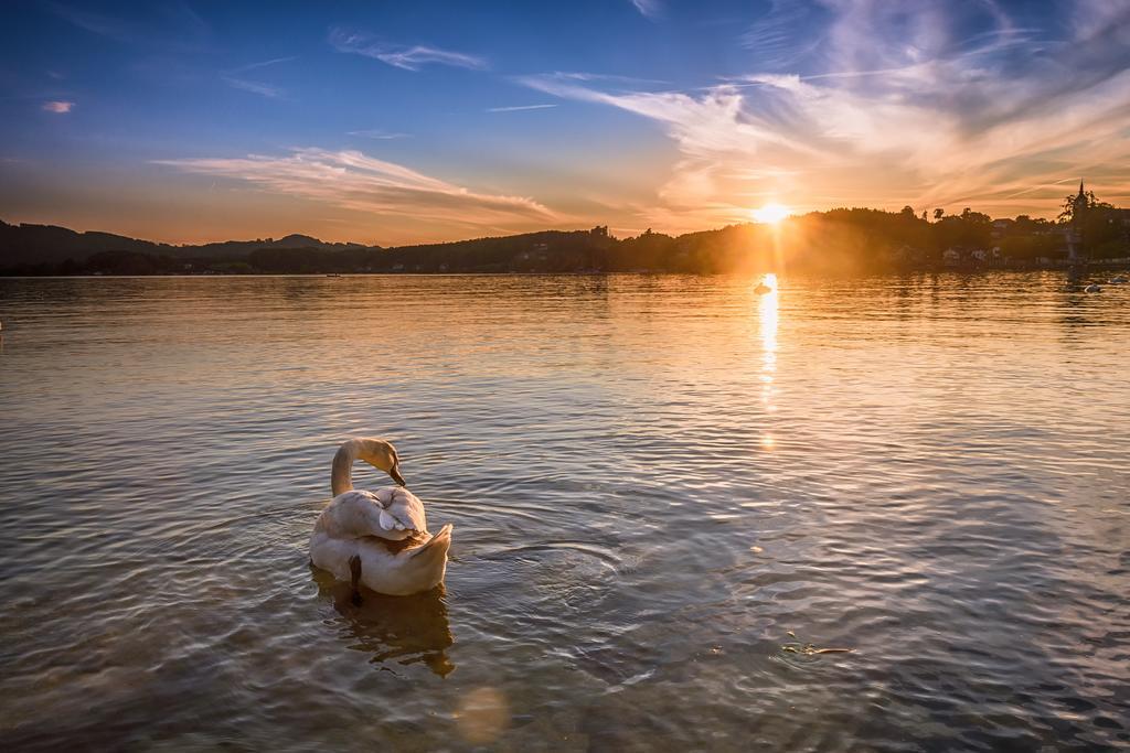 Stadler Am Attersee Hotel 4*